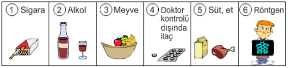 7 Sınıf Fen Bilimleri İnsanda Üreme Büyüme ve Gelişme Sayfa 9 10