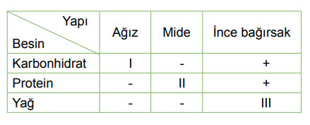 11. Sınıf Biyoloji Sindirim Sistemi - Sayfa 2 / 3 Testi Çöz - Testkolik