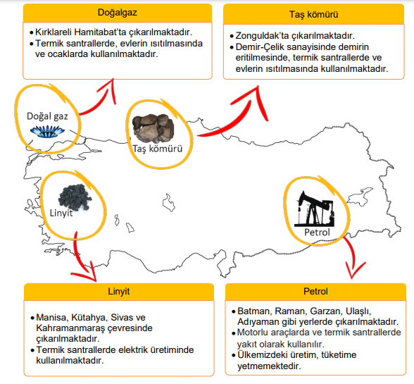 ücretsiz çevrimdışı sesli İncil indir