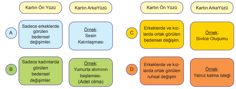 6. Sınıf Fen Bilimleri Vücudumuzdaki Sistemler ve Sağlığı - Sayfa 6